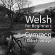 Icoon van programma: Welsh for Beginners