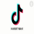 程序图标：抖音视频下载助手