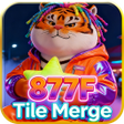 Icoon van programma: 877FTile Merge