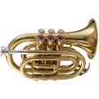 Icon of program: Virtual Trumpet