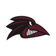 Programın simgesi: Raven Nation App