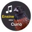 程序图标：Curió Encarte