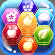 ไอคอนของโปรแกรม: Stackagon: Hexa Puzzle