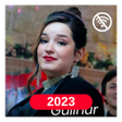 Programın simgesi: Gulinur qoshiqlari 2023