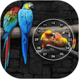 程序图标：Love Birds Clock Live Wal…
