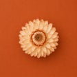 Icon of program: Autumn Wallpaper Gallery …