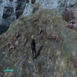 Icon of program: More Spawns