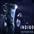 程序图标：The INDIGO Initiative