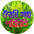 Programikonen: ভেজষ উদ্ভিদের ঔষধী গুনাগু…