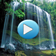 程序图标：Nature Sounds Limitless!