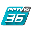 프로그램 아이콘: PPTVHD36