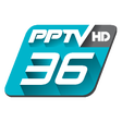 程序图标：PPTVHD36