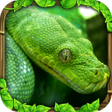 プログラムのアイコン：Snake Simulator