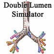 ไอคอนของโปรแกรม: Double Lumen