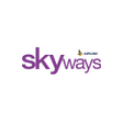 プログラムのアイコン：Skyways