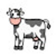 Programikonen: Cows Backgrounds