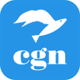 Programikonen: Fatturazione CGN