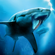 Ícone do programa: Helicoprion Simulator