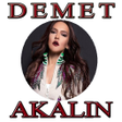 程序图标：Demet Akalın Şarkıları İn…