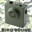 Icona del programma: Bird Sound