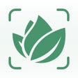 Ikon program: Plant Tips: ID  Care