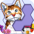 Programikonen: Block Jigsaw - Free Hexa …