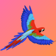 Ikon program: Flying Cwan