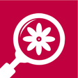 Ikon program: Find by Image (Search by …