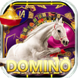 Ikon program: HorseDomino