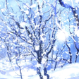 winter snowfall live wallpaper