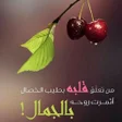 プログラムのアイコン：عبارات جميله من الحياه