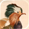 Icon of program: Art of Fauna: Cozy Puzzle…