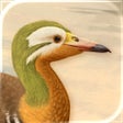 Icon of program: Art of Fauna: Cozy Puzzle…