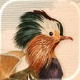 Icon of program: Art of Fauna: Cozy Puzzle…