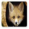 Icono de programa: Tema Safari