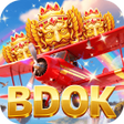 프로그램 아이콘: BDOKCore Pulse Launch