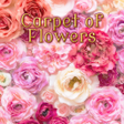 Programikonen: Rose Theme-Carpet of Flow…