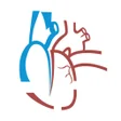 プログラムのアイコン：RAAmed - Medical e-Learni…