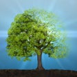 Icoon van programma: Idle Plant 3D