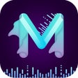 Programikonen: MV Master - Status Video