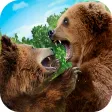 Furious Bear Simulator