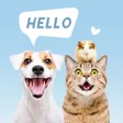 Programın simgesi: Pets Translator: Dog  Cat