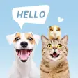 Pets Translator: Dog  Cat