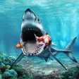 White Shark Sim : Great Attack