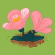 Programikonen: Honey Grove 4+
