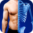Ikon program: Body Xray Scanner Camera