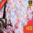 Icoon van programma: Girly Aesthetic Wallpaper…