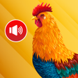 أيقونة البرنامج: animal ringtones: bird so…