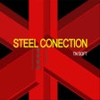 程序图标：Steel Conection
