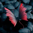 Ikona programu: Butterfly Wallpapers